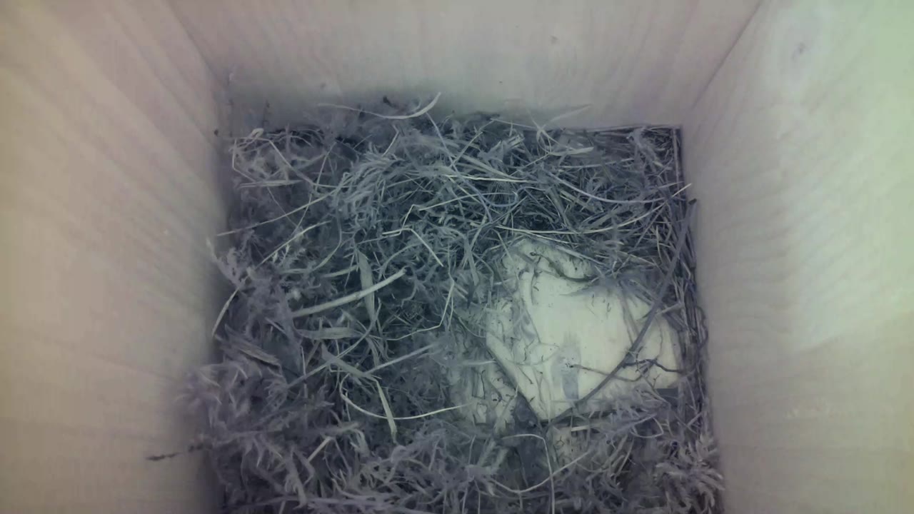 Aufnahme aus dem Vogelhaus