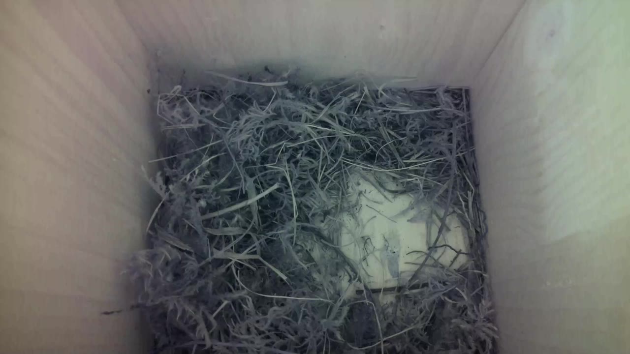 Aufnahme aus dem Vogelhaus