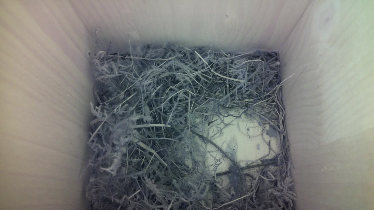 Aufnahme aus dem Vogelhaus