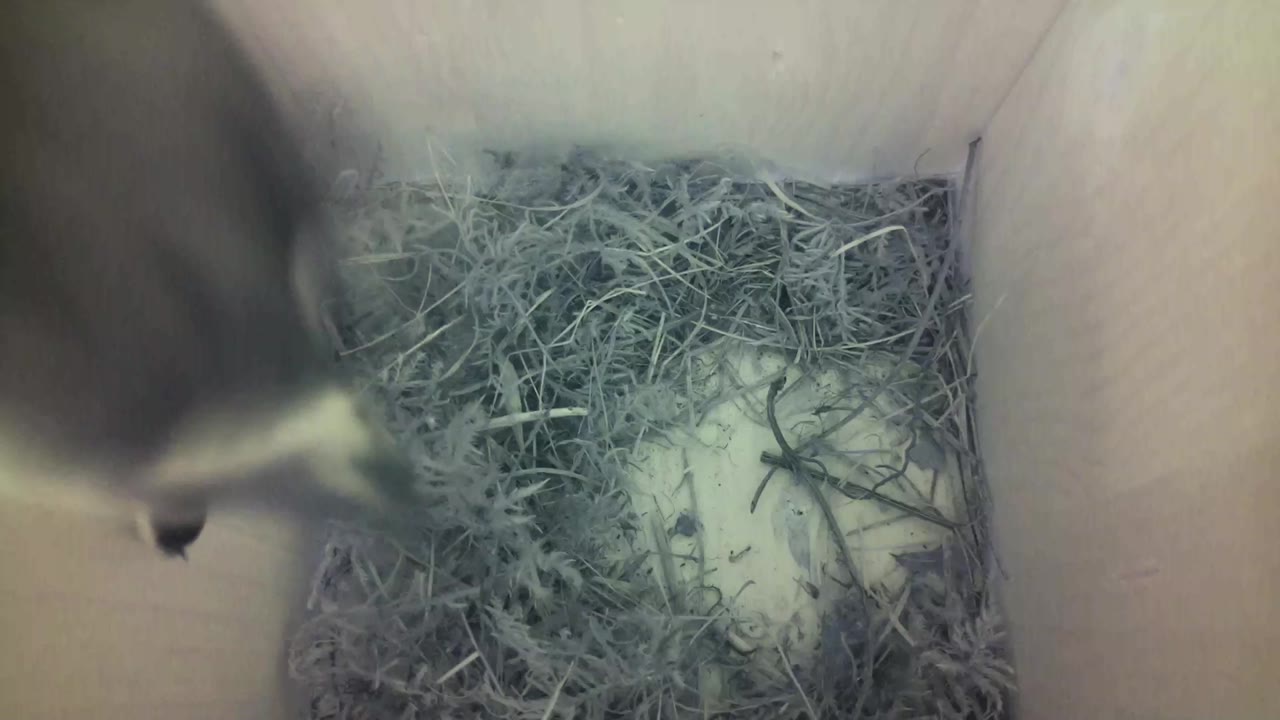 Aufnahme aus dem Vogelhaus