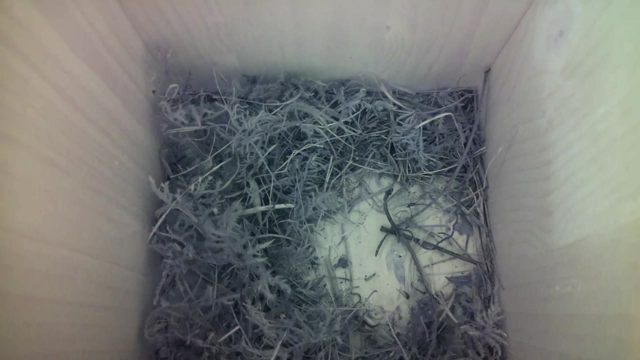 Aufnahme aus dem Vogelhaus