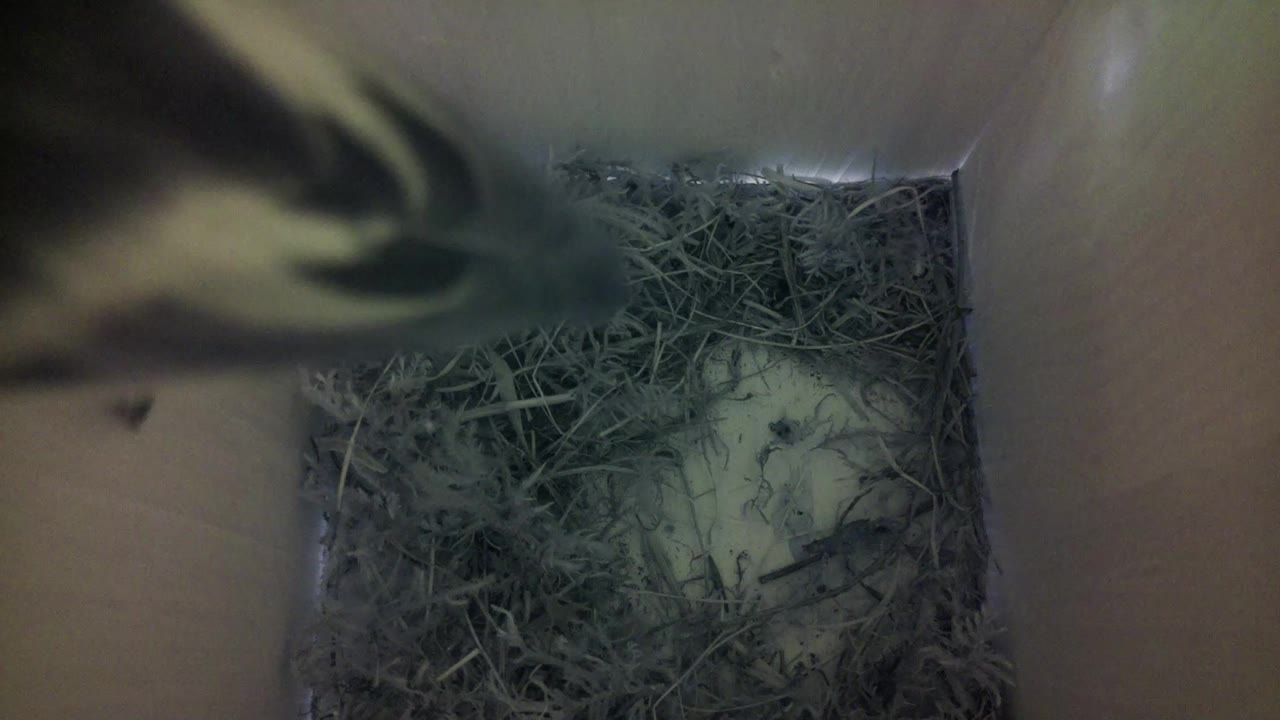 Aufnahme aus dem Vogelhaus