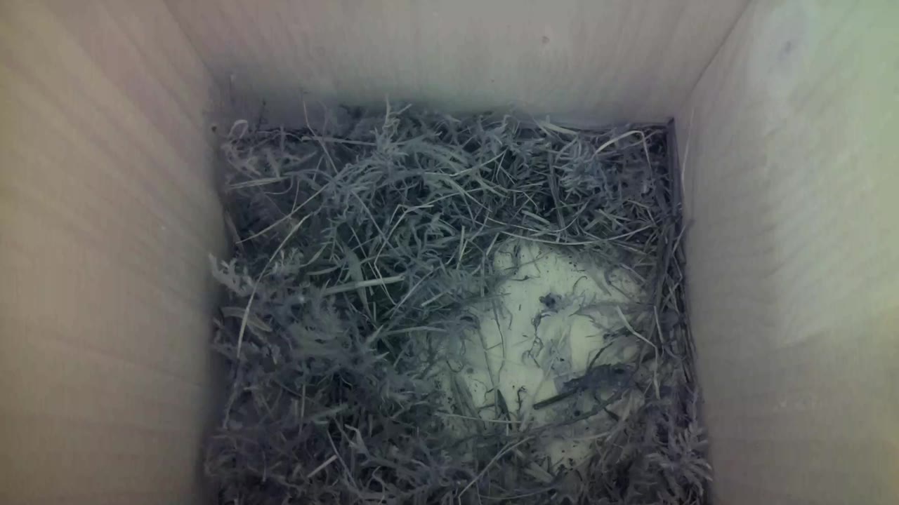 Aufnahme aus dem Vogelhaus