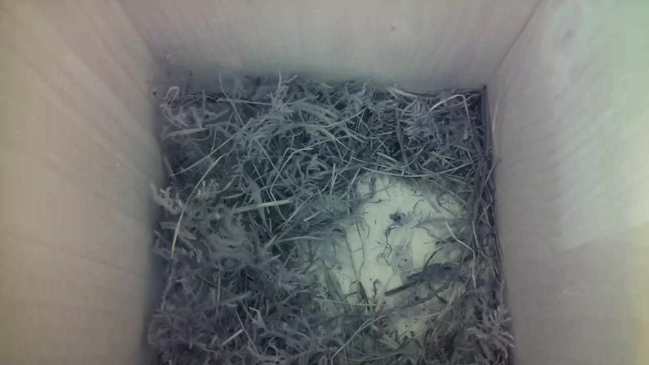 Aufnahme aus dem Vogelhaus