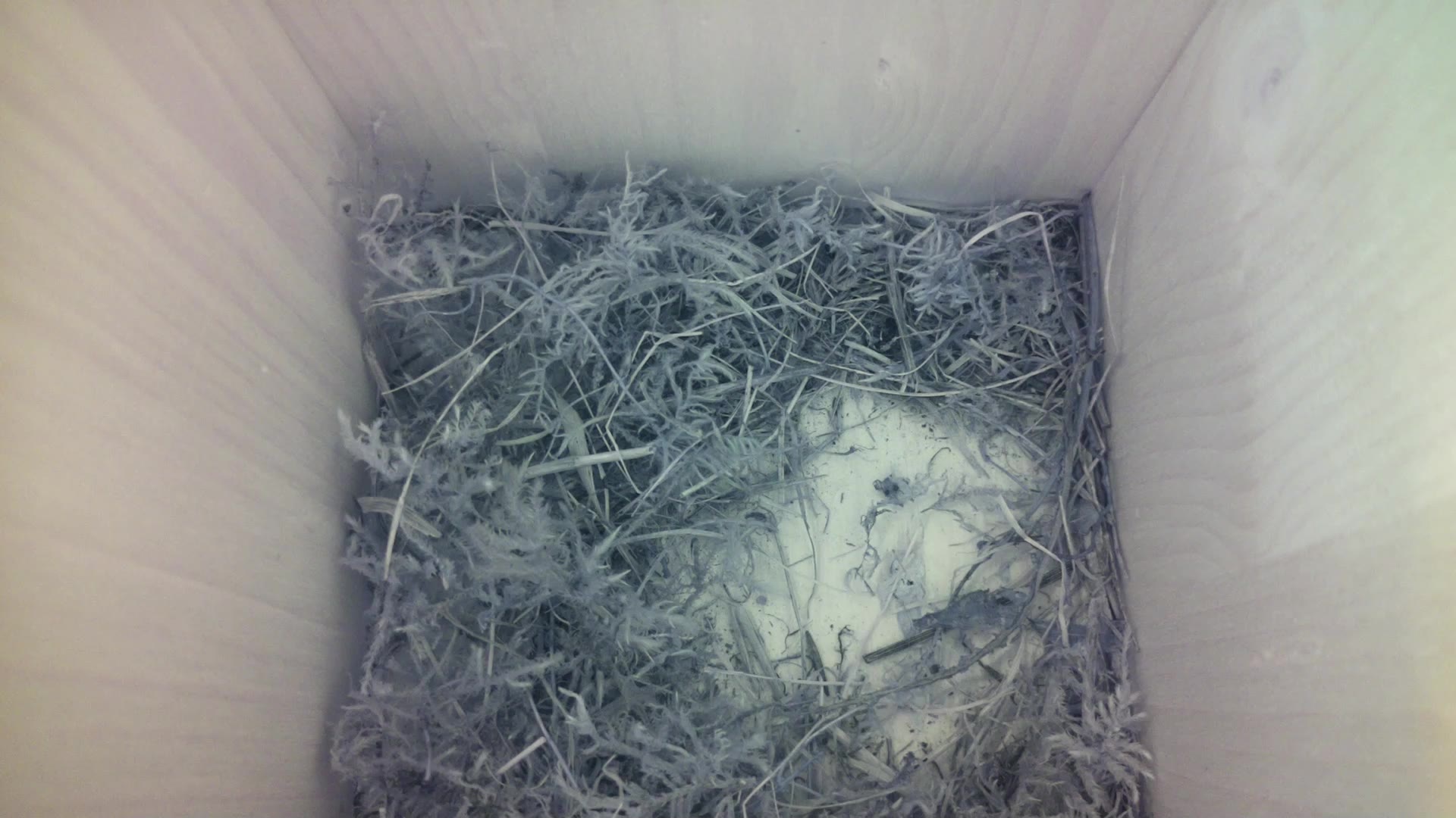 Aufnahme aus dem Vogelhaus