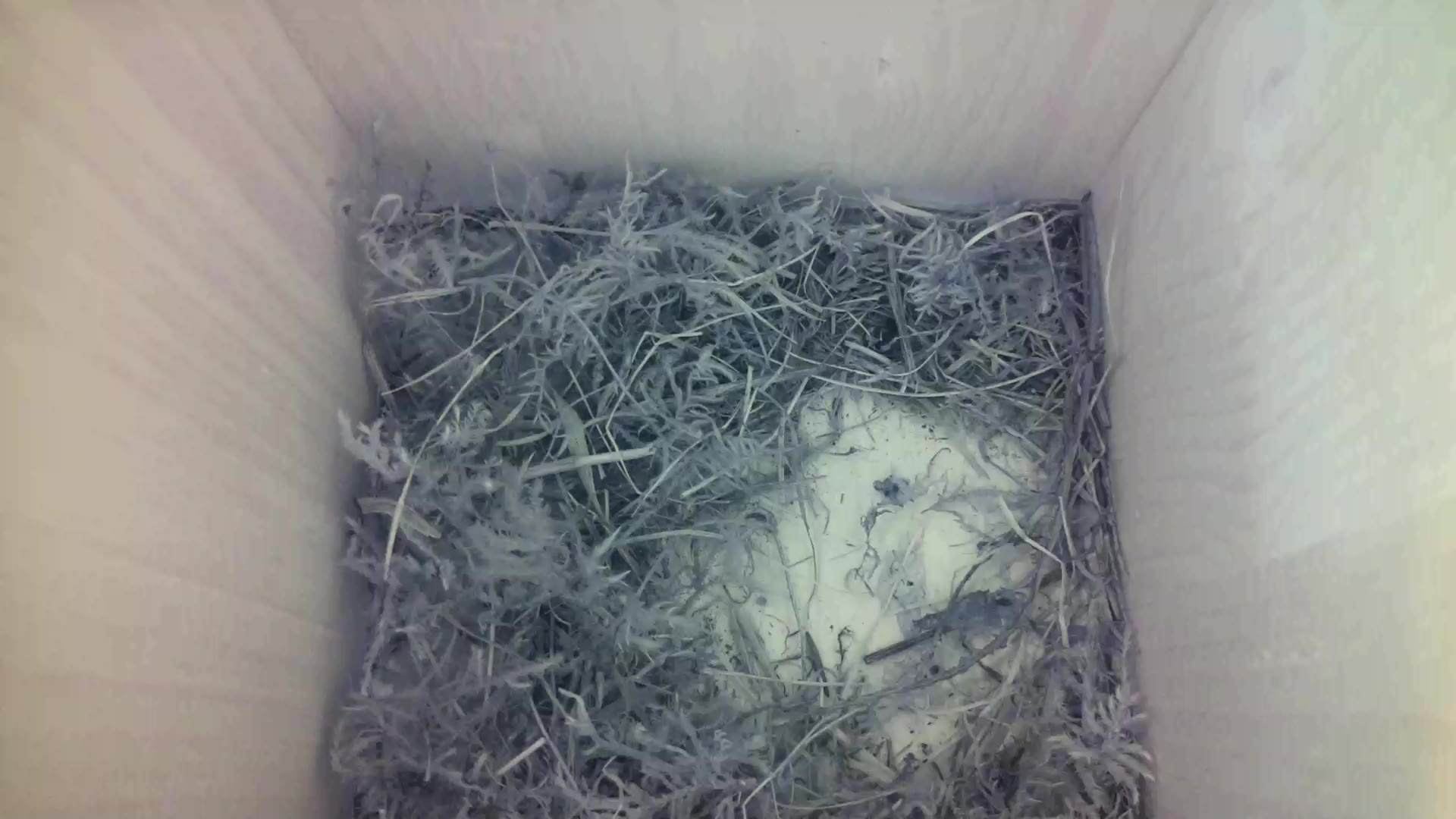 Aufnahme aus dem Vogelhaus