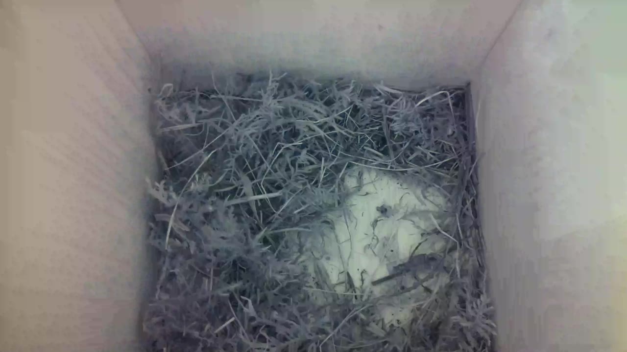 Aufnahme aus dem Vogelhaus
