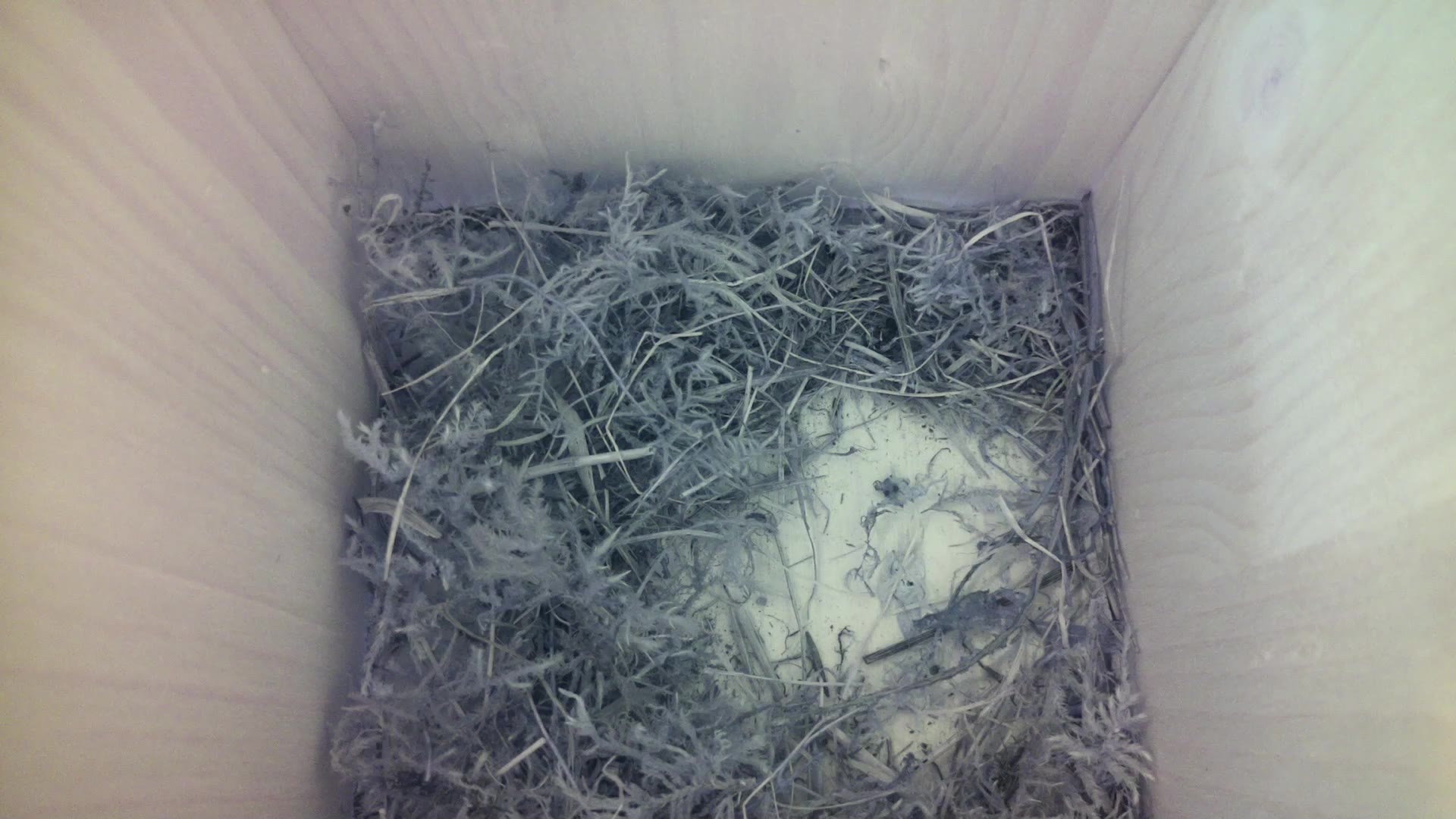 Aufnahme aus dem Vogelhaus
