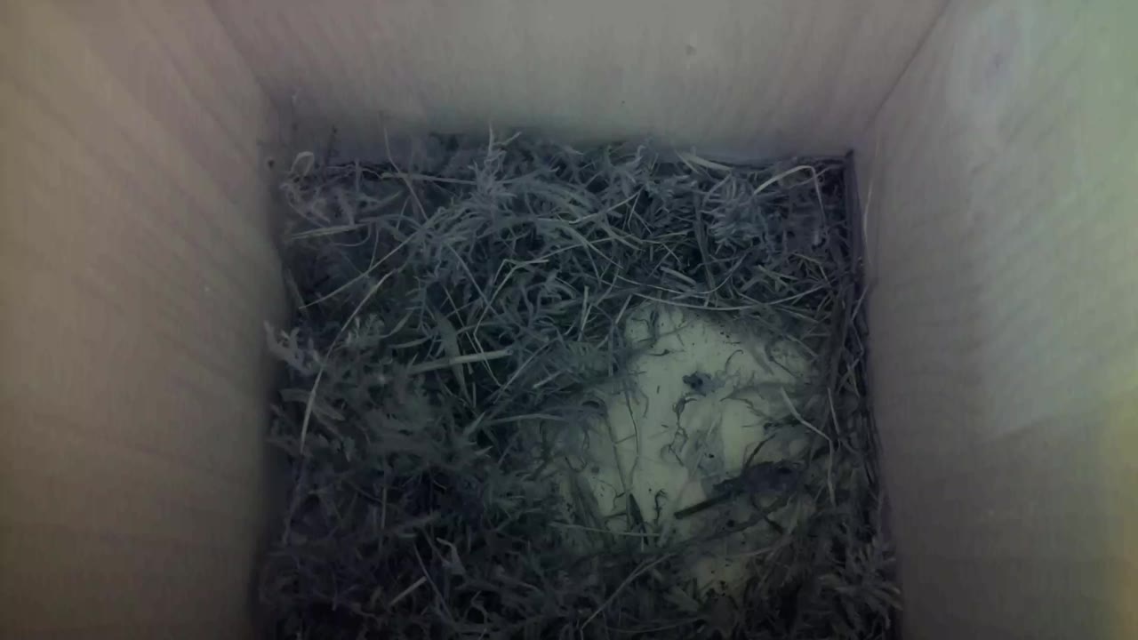 Aufnahme aus dem Vogelhaus