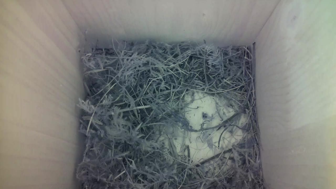 Aufnahme aus dem Vogelhaus