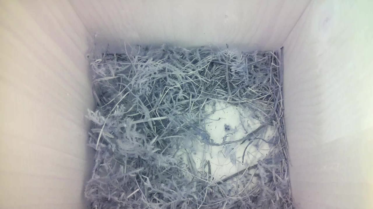 Aufnahme aus dem Vogelhaus