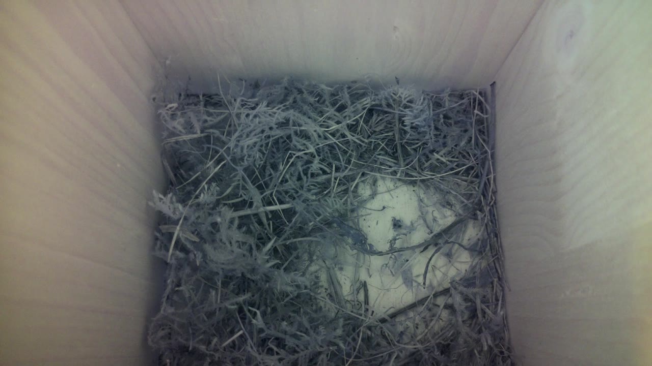 Aufnahme aus dem Vogelhaus
