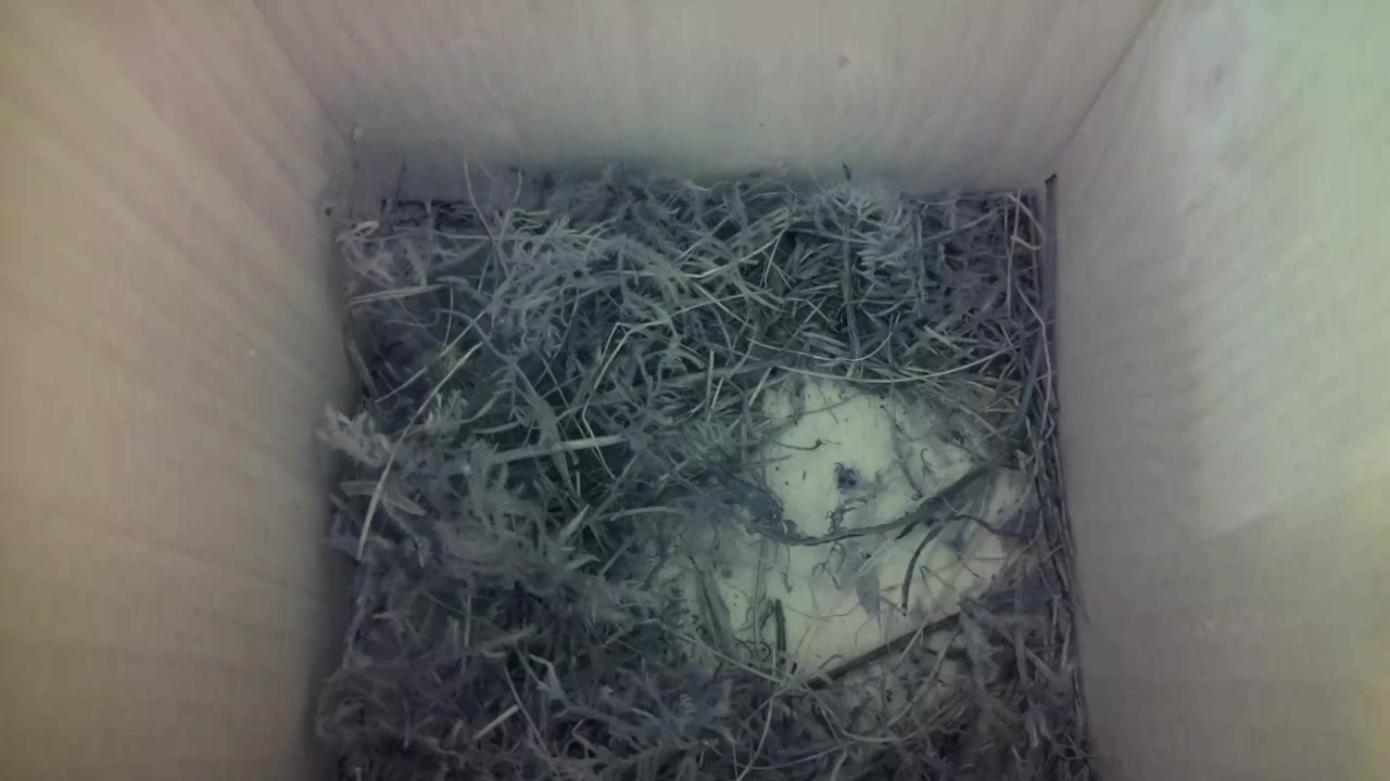 Aufnahme aus dem Vogelhaus