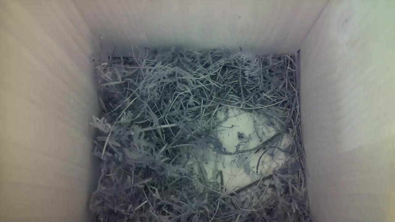 Aufnahme aus dem Vogelhaus