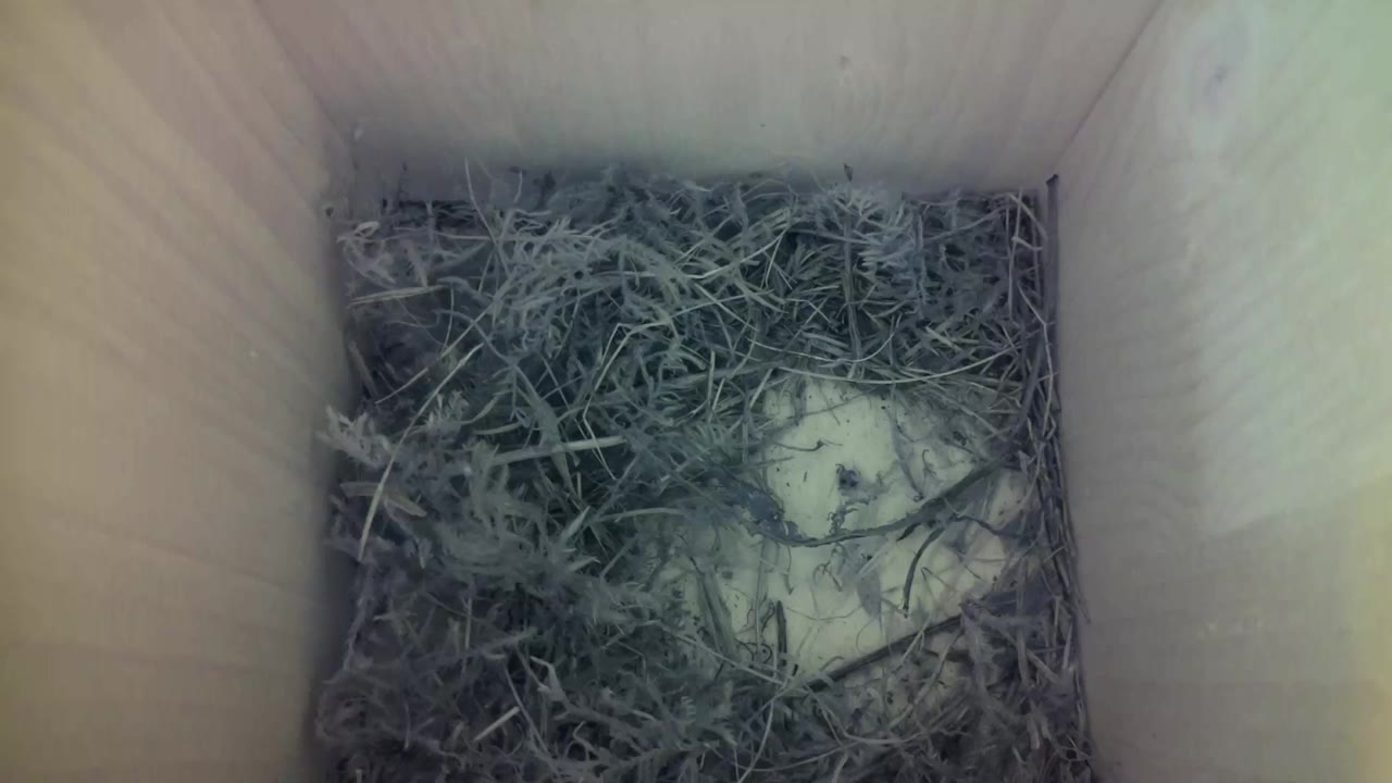 Aufnahme aus dem Vogelhaus
