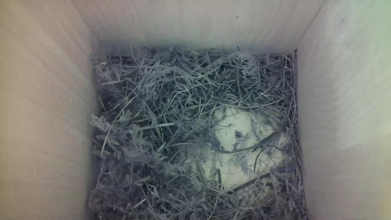 Aufnahme aus dem Vogelhaus