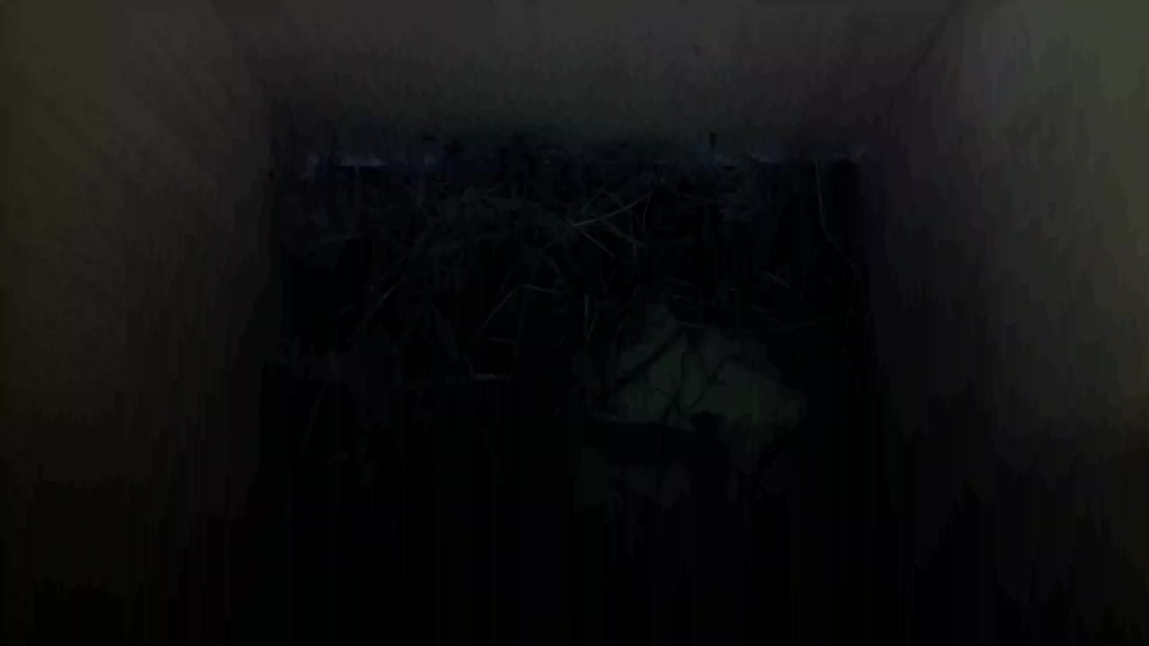 Aufnahme aus dem Vogelhaus