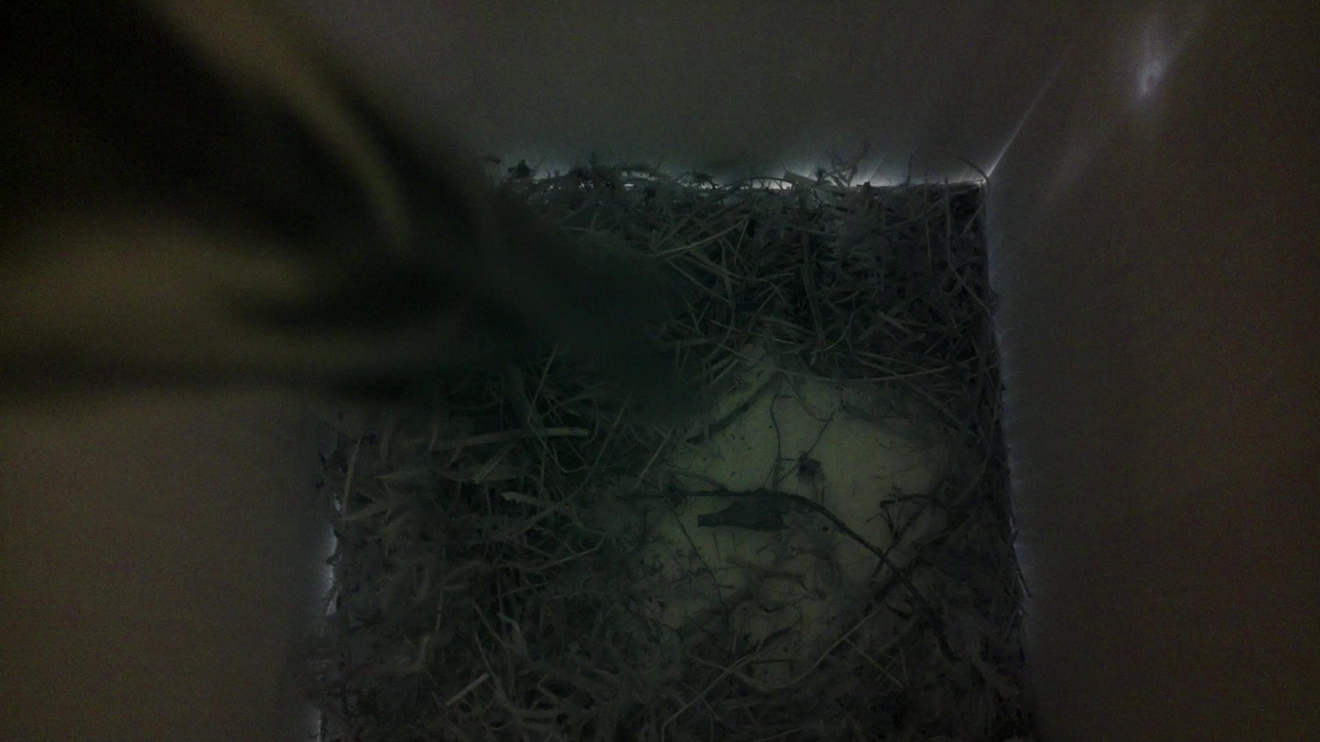 Aufnahme aus dem Vogelhaus