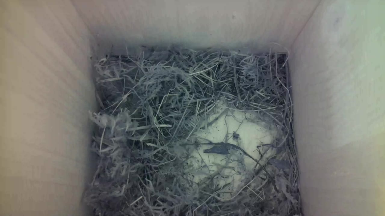 Aufnahme aus dem Vogelhaus