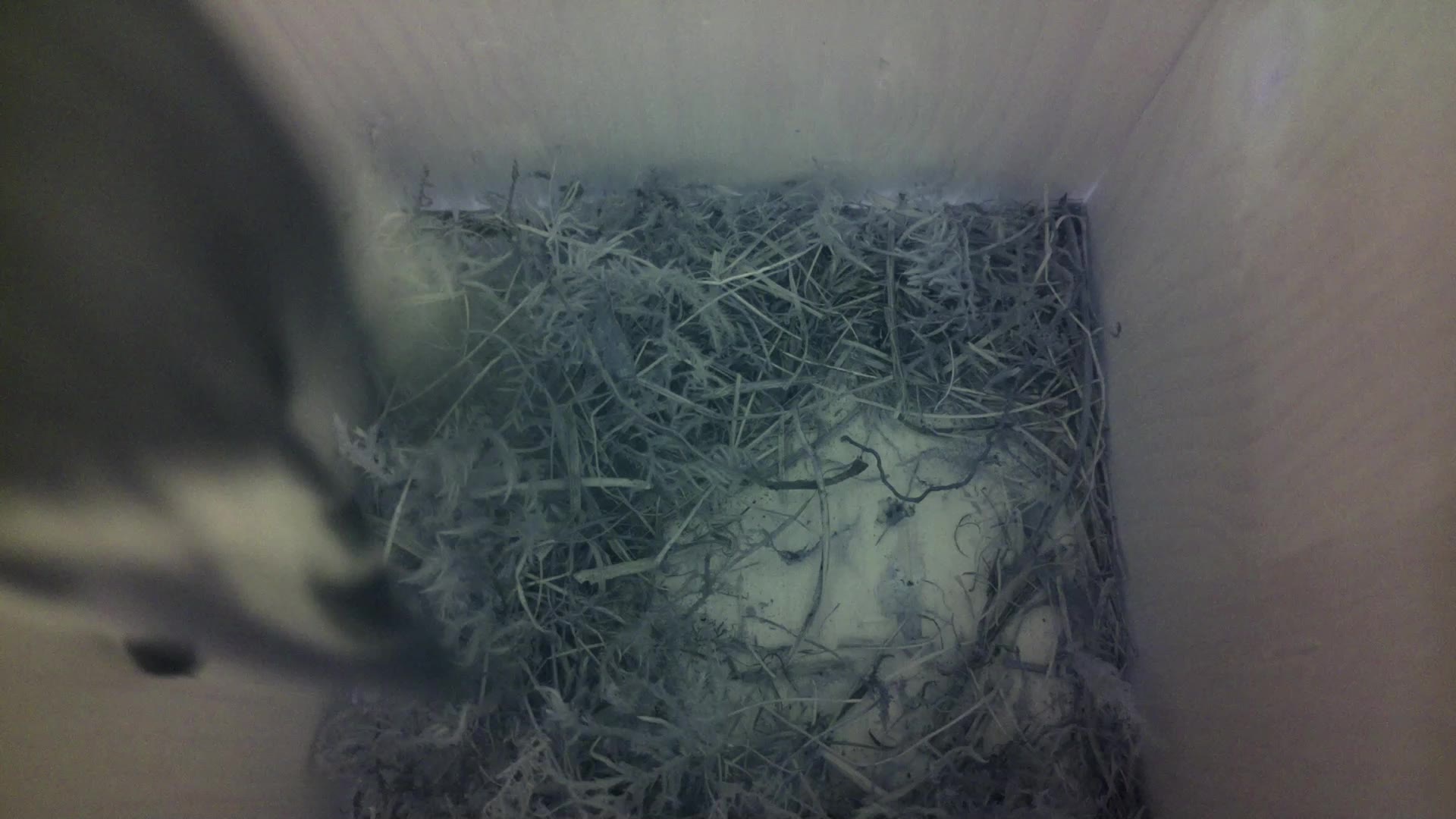 Aufnahme aus dem Vogelhaus