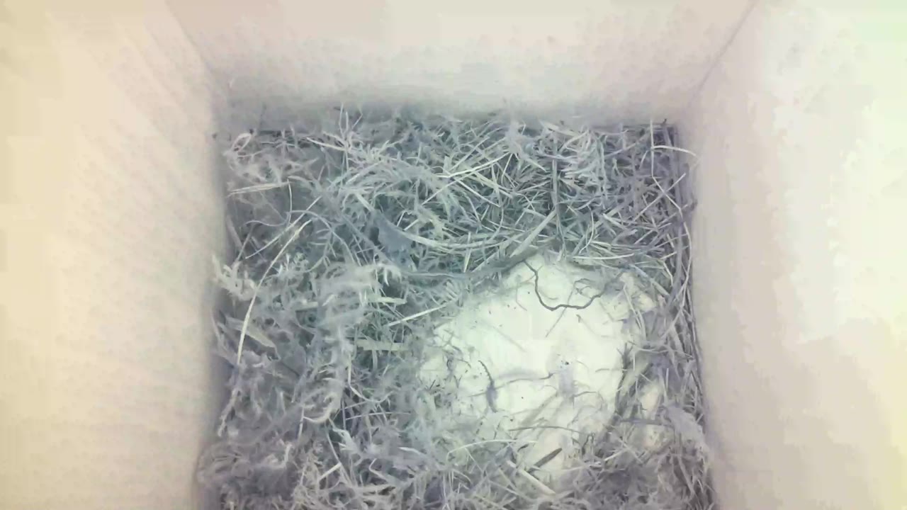 Aufnahme aus dem Vogelhaus