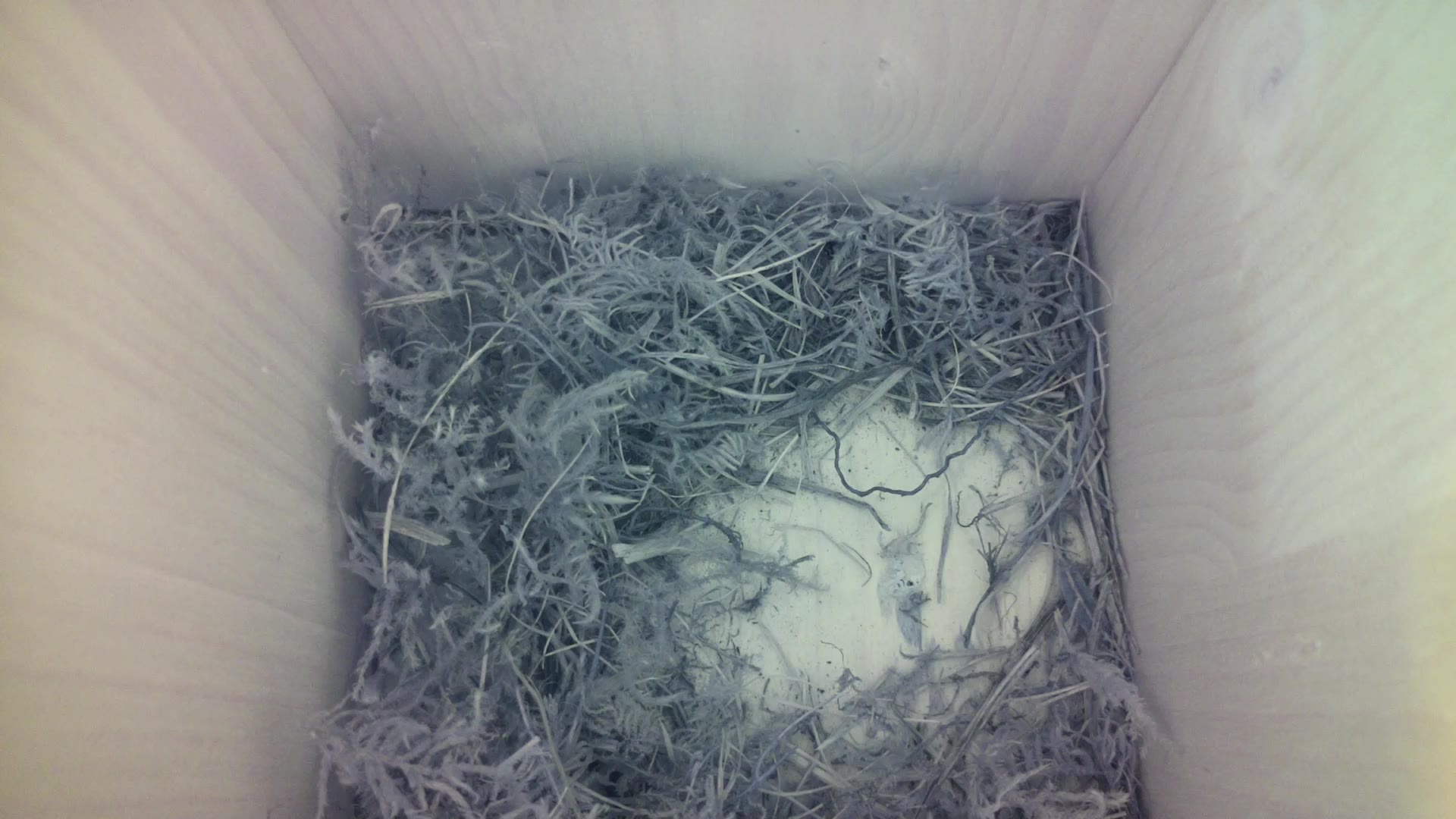 Aufnahme aus dem Vogelhaus