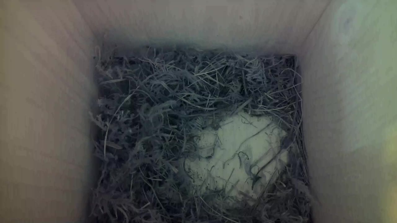 Aufnahme aus dem Vogelhaus