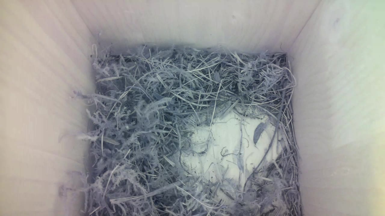 Aufnahme aus dem Vogelhaus