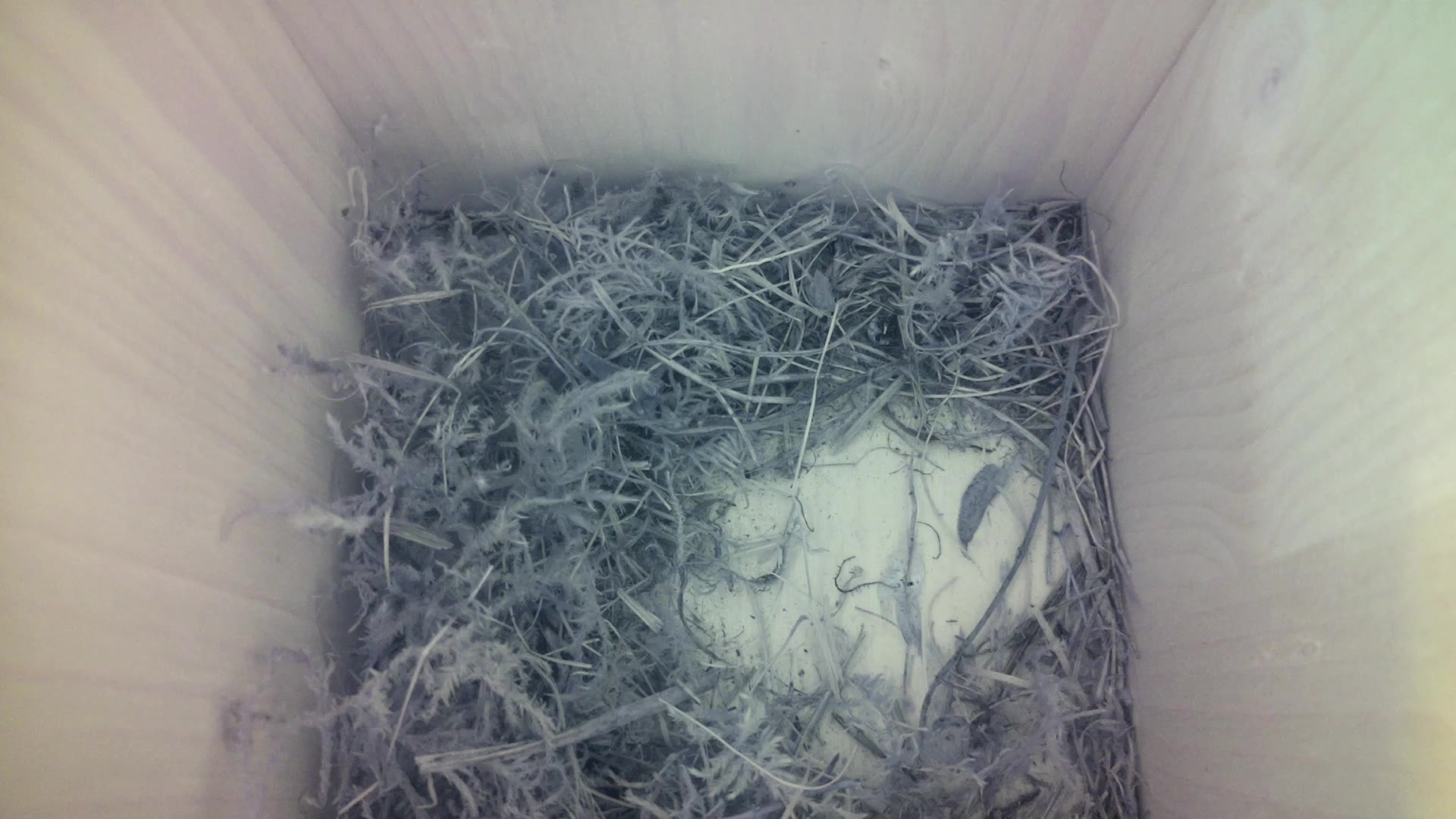 Aufnahme aus dem Vogelhaus