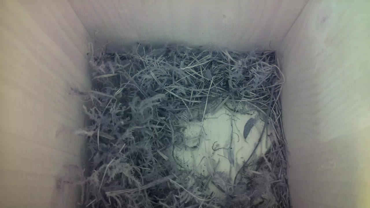 Aufnahme aus dem Vogelhaus