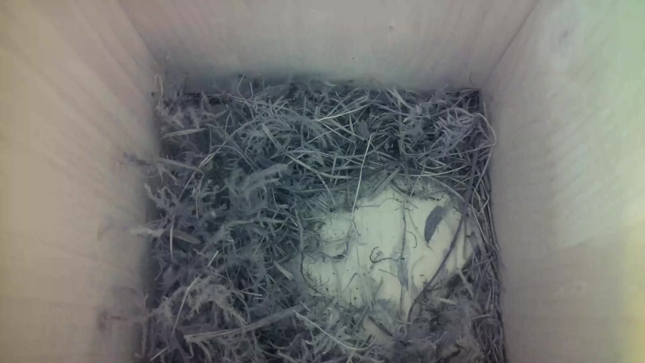 Aufnahme aus dem Vogelhaus