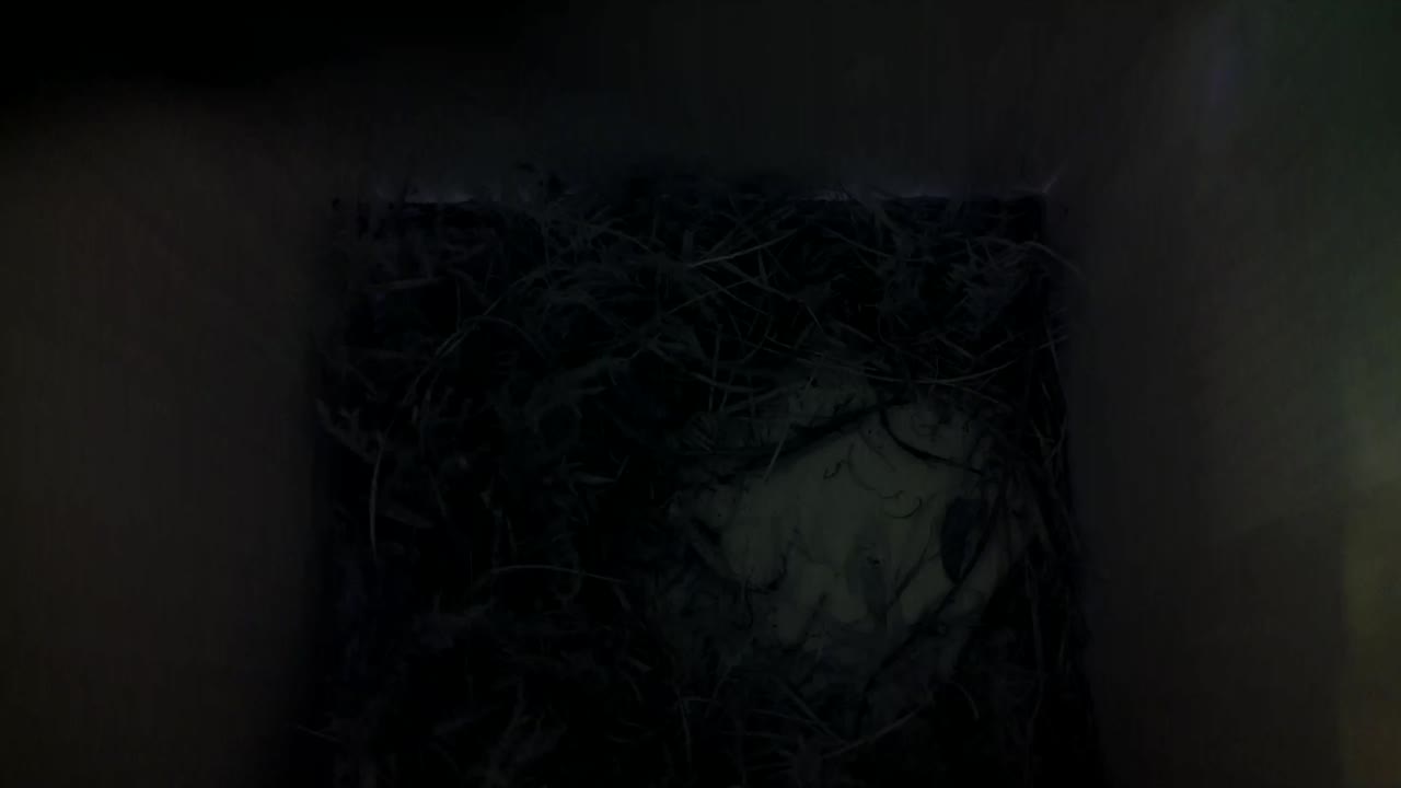 Aufnahme aus dem Vogelhaus