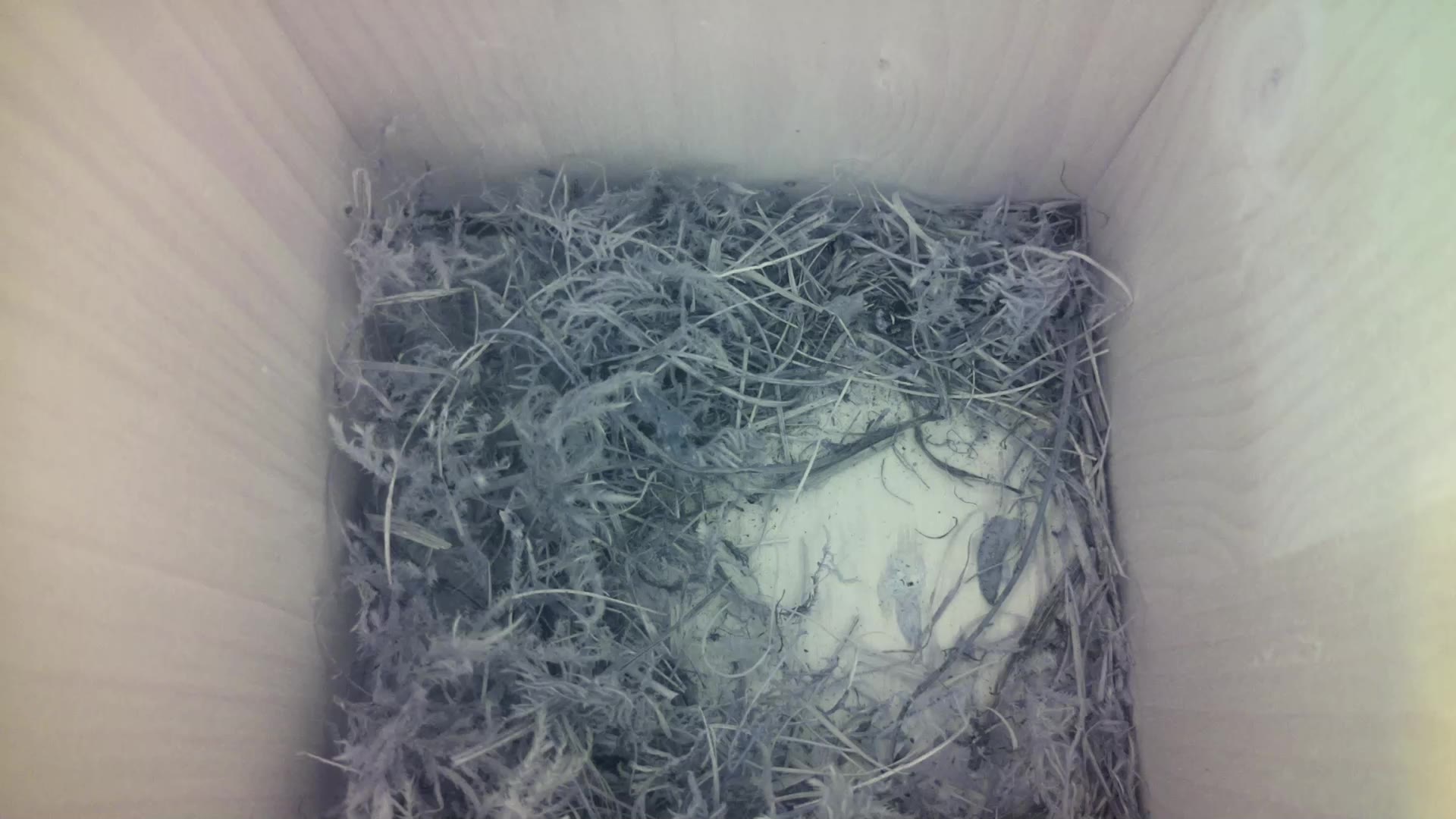 Aufnahme aus dem Vogelhaus