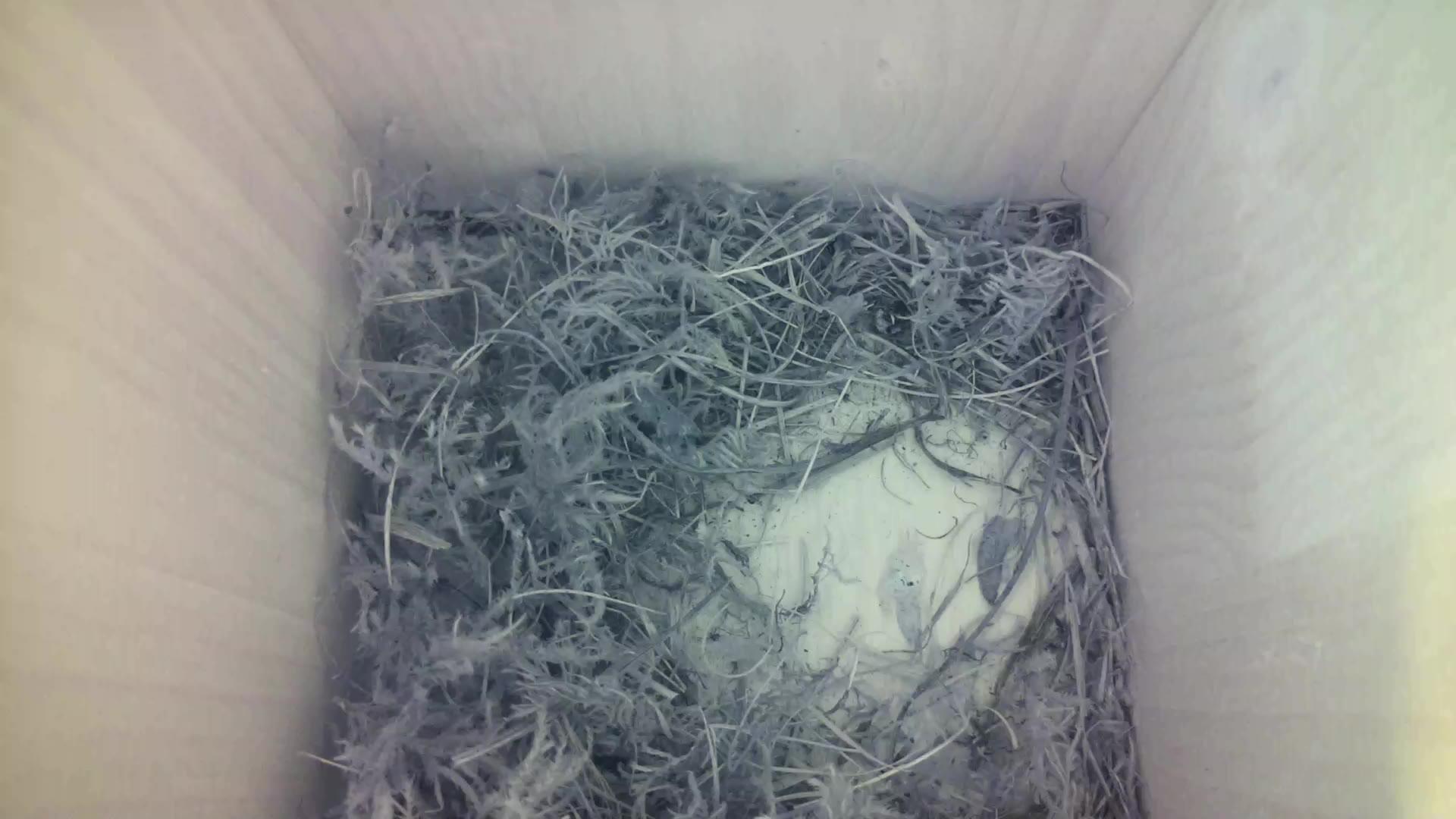 Aufnahme aus dem Vogelhaus