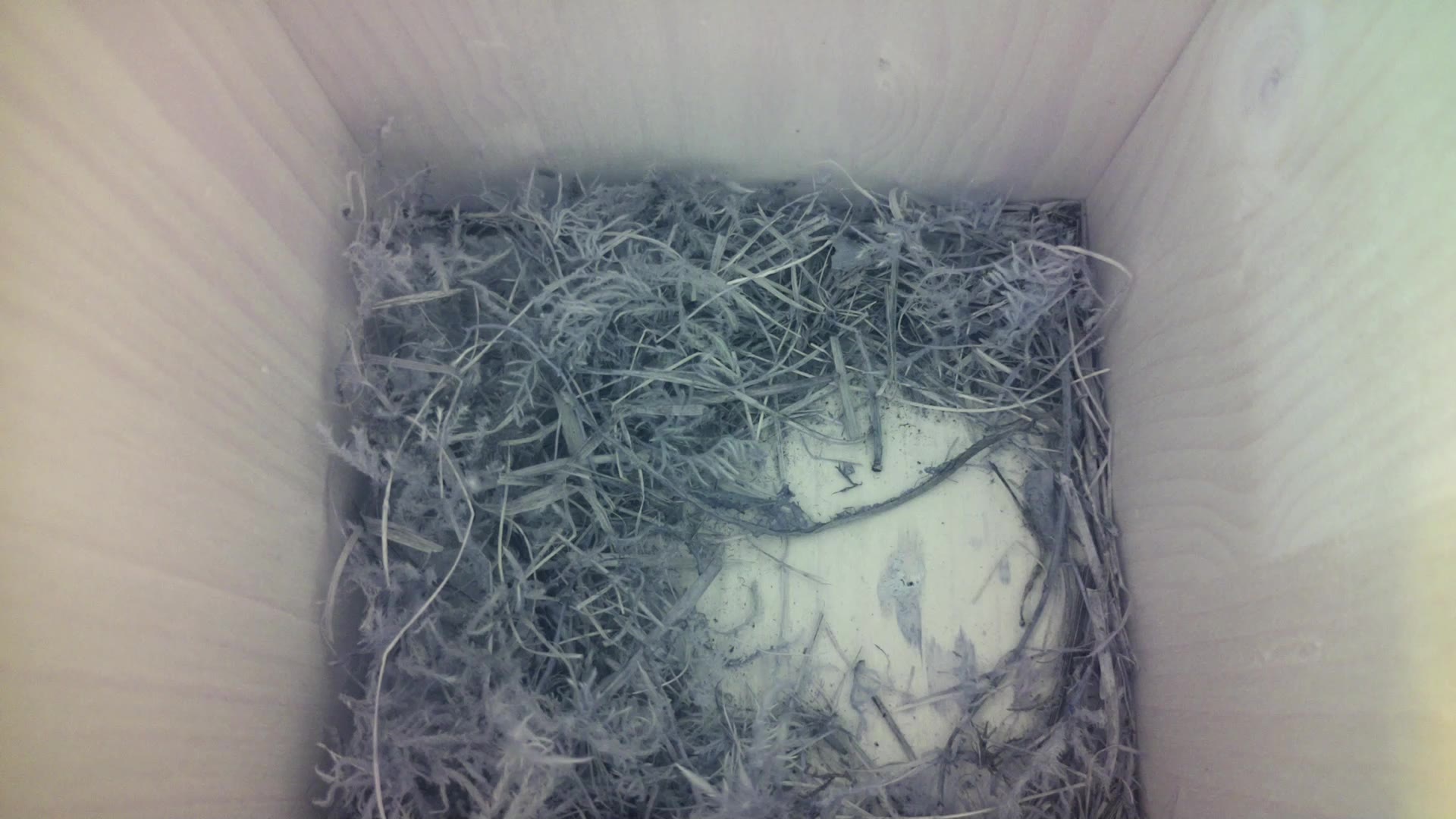 Aufnahme aus dem Vogelhaus