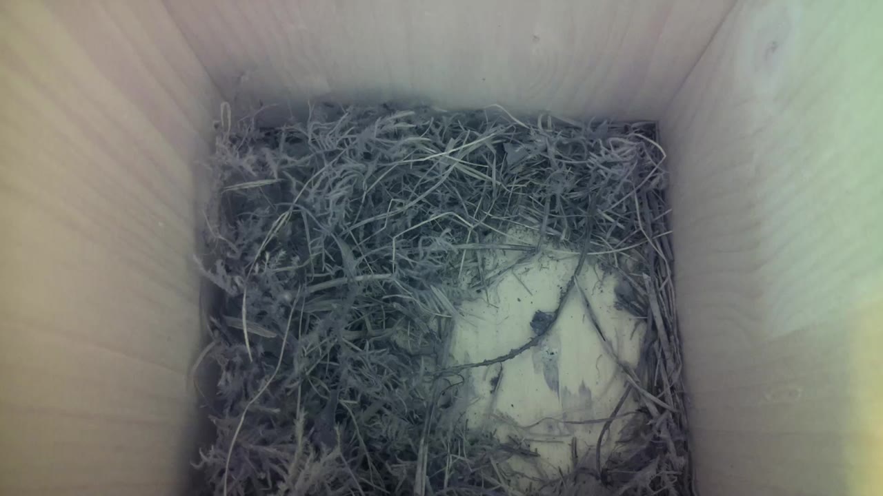 Aufnahme aus dem Vogelhaus