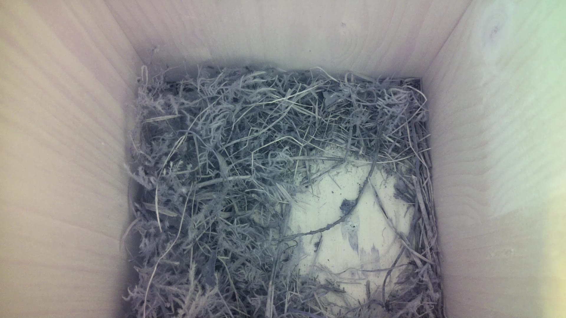 Aufnahme aus dem Vogelhaus