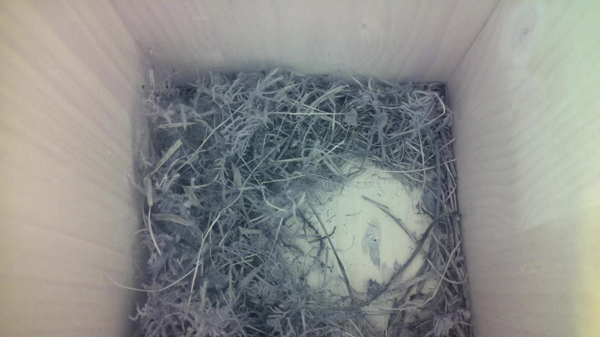 Aufnahme aus dem Vogelhaus
