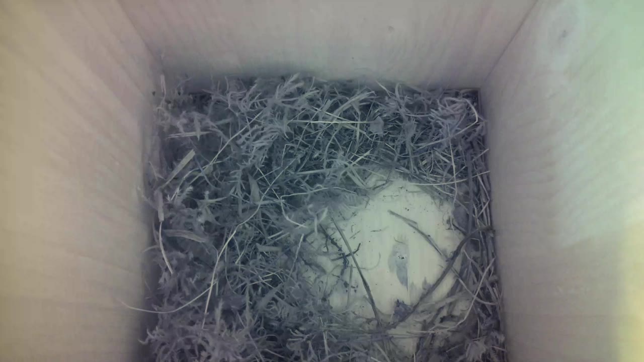 Aufnahme aus dem Vogelhaus