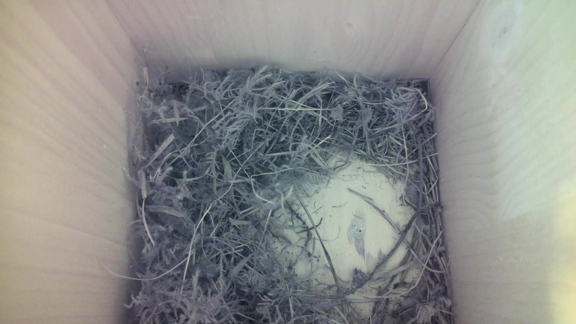 Aufnahme aus dem Vogelhaus