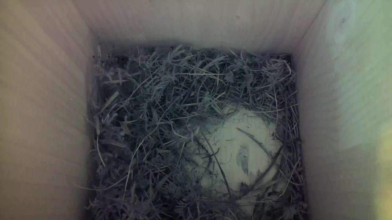 Aufnahme aus dem Vogelhaus
