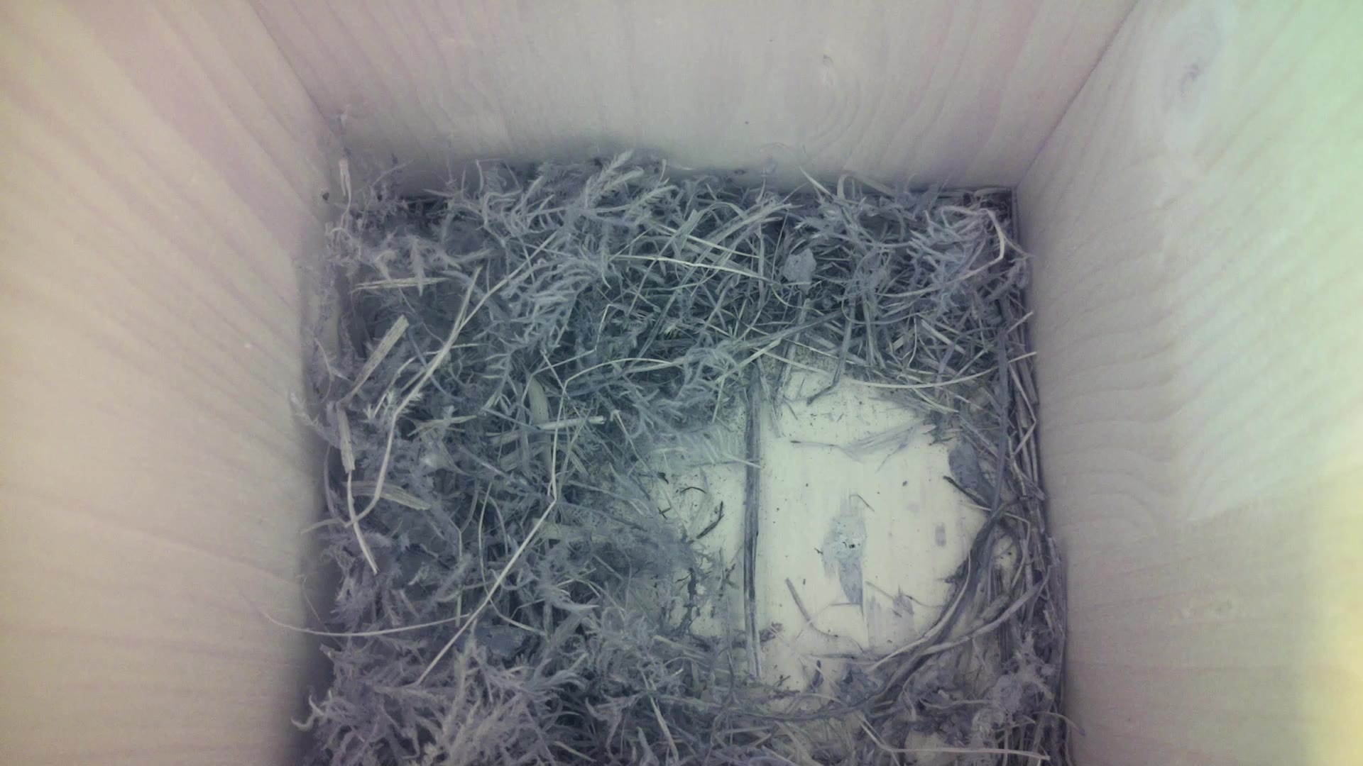 Aufnahme aus dem Vogelhaus