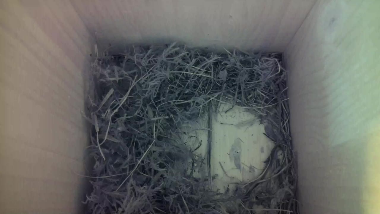 Aufnahme aus dem Vogelhaus