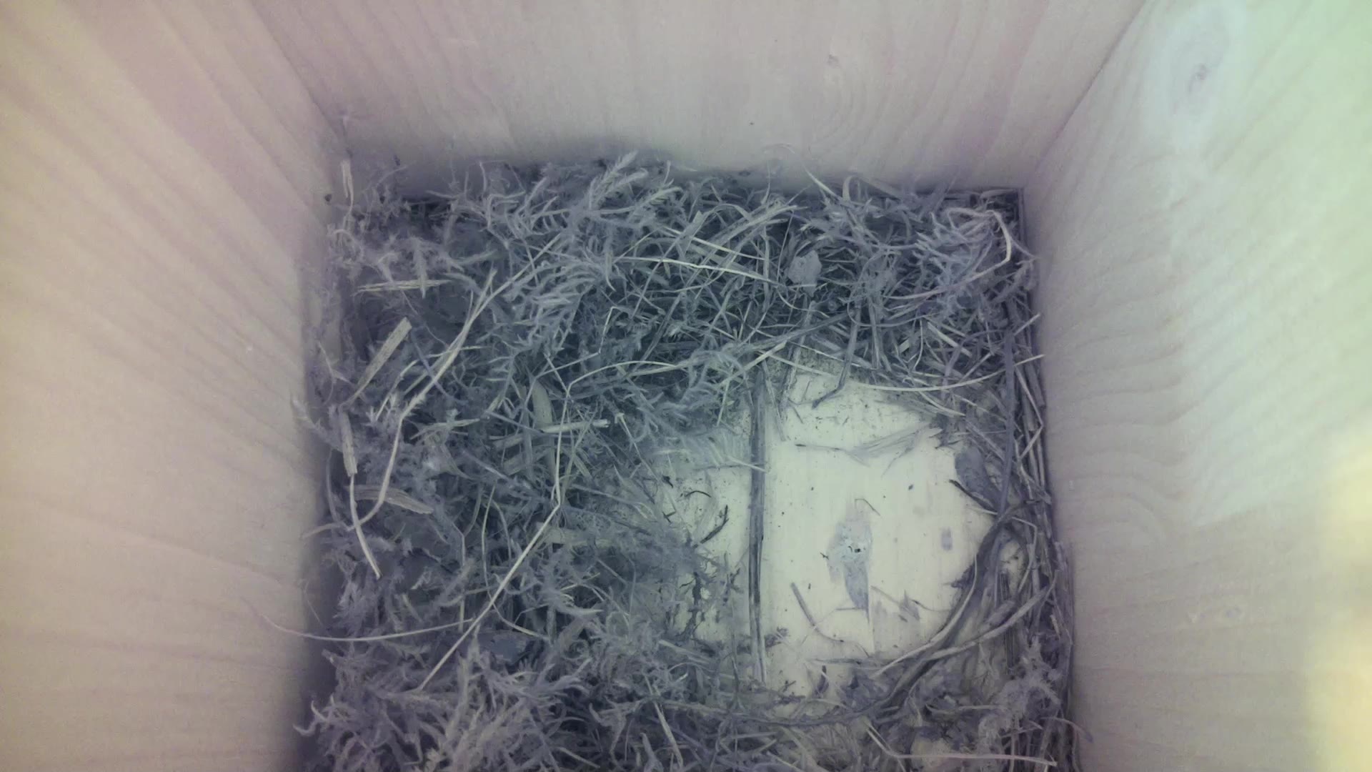 Aufnahme aus dem Vogelhaus