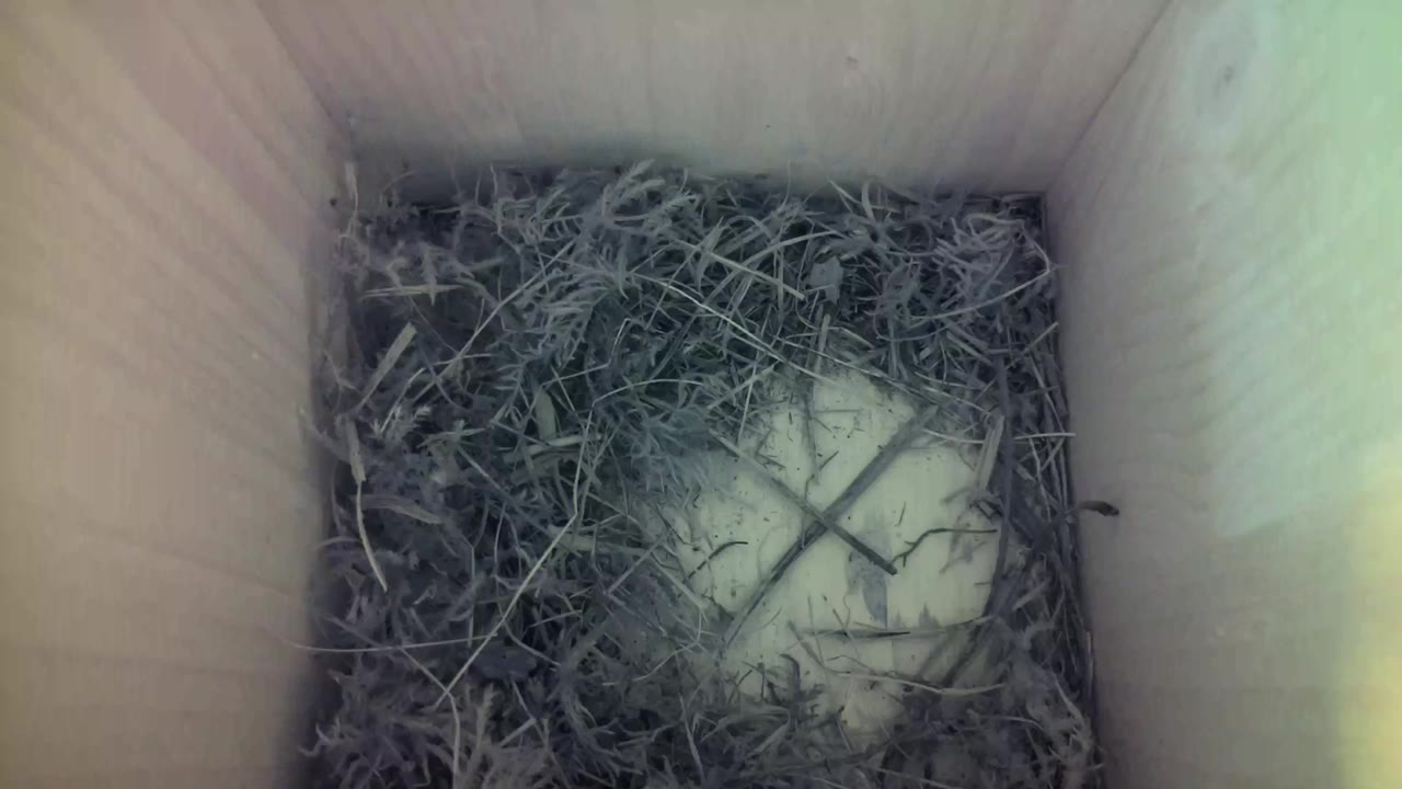 Aufnahme aus dem Vogelhaus