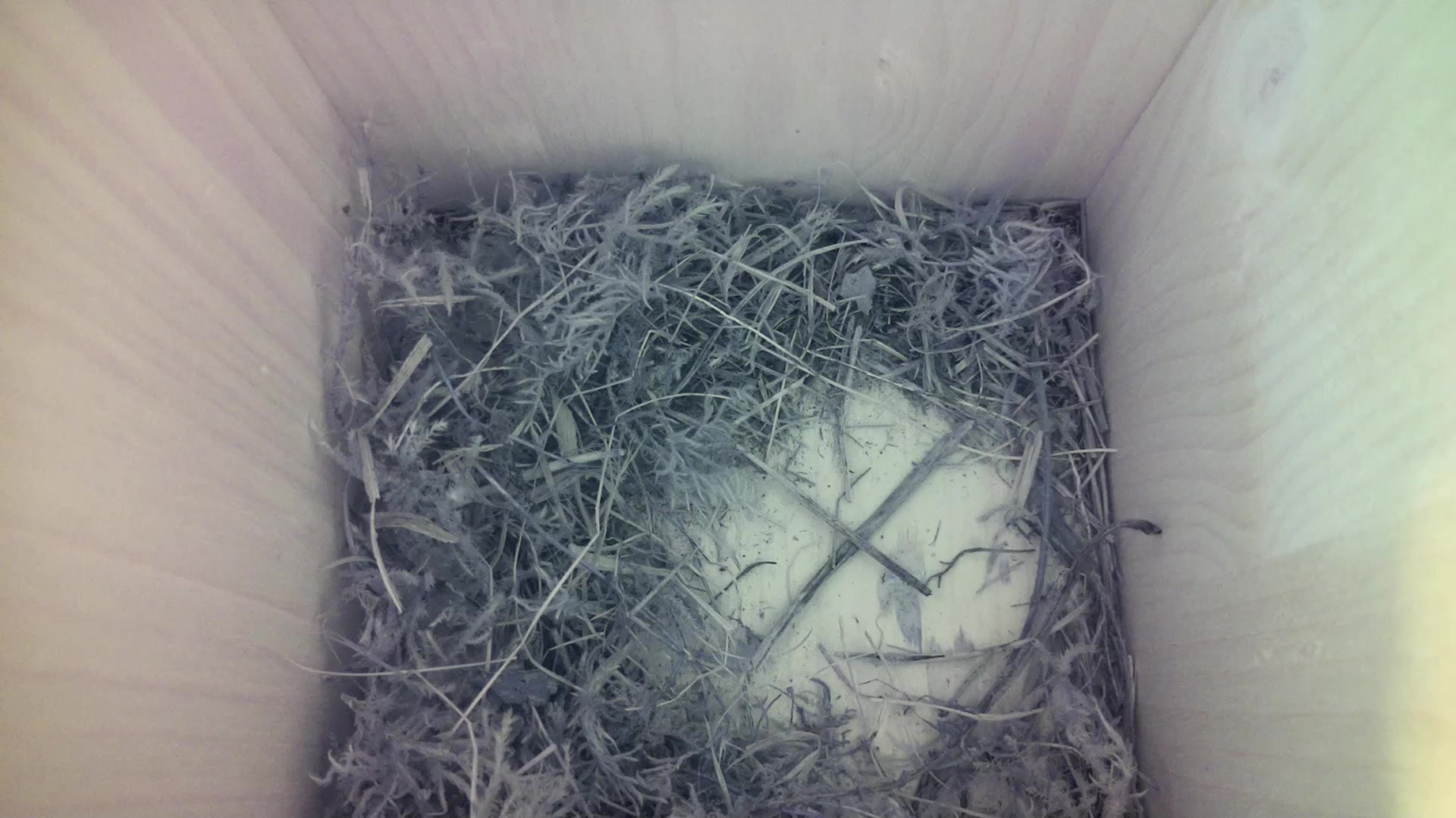 Aufnahme aus dem Vogelhaus
