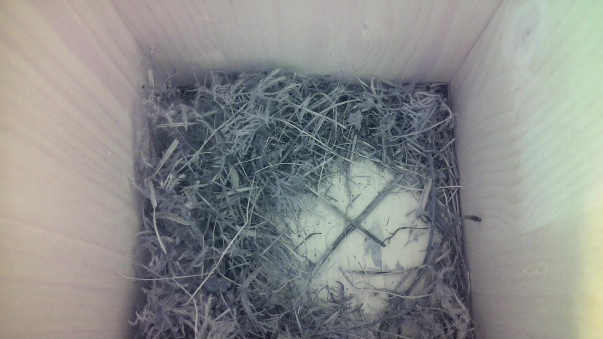 Aufnahme aus dem Vogelhaus