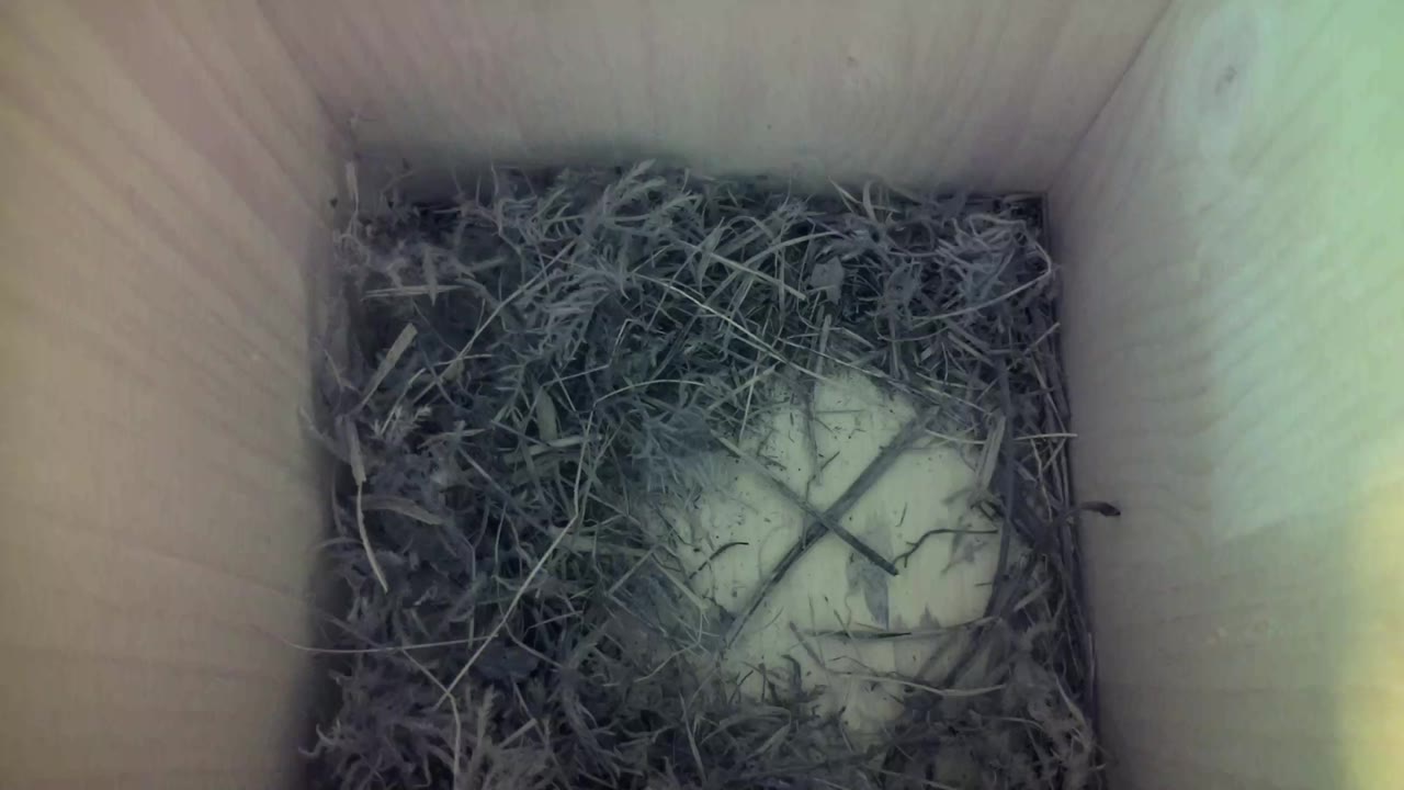 Aufnahme aus dem Vogelhaus