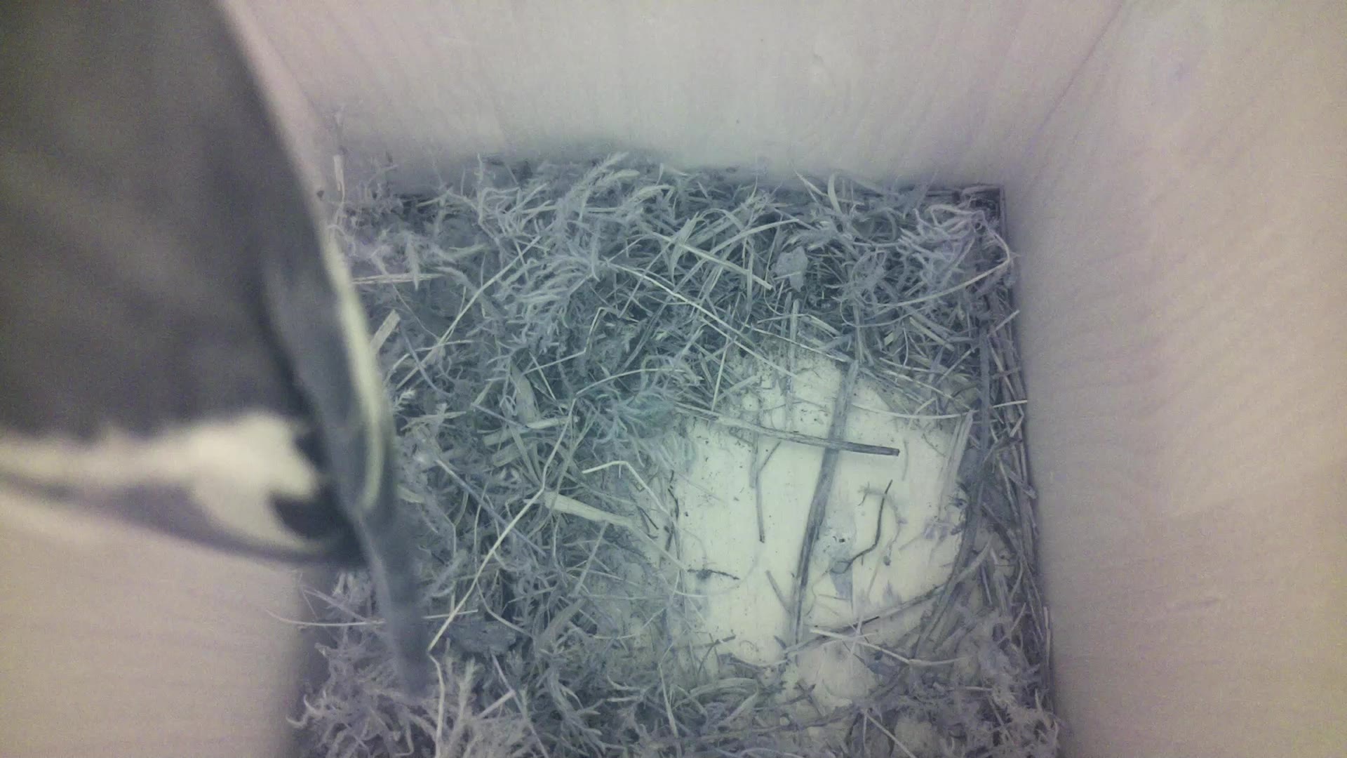 Aufnahme aus dem Vogelhaus