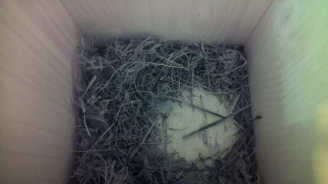 Aufnahme aus dem Vogelhaus